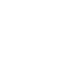 Izeer Logo